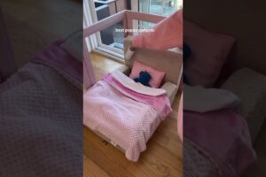 The Cutest Puppy Bath & Organization Makeover! pet makeover