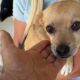The New Sweet Girl That Was Abandoned is in My Shelter - Takis Shelter