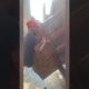 The best viral fails of this week #1