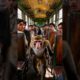 The monkey saved the train and people #animal #rescue