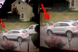 These Videos Are So Scary You’ll Pee Yourself In Front of Your Crush