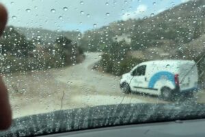 They Abandoned a Dog in Heavy Rain - Takis Shelter