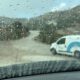 They Abandoned a Dog in Heavy Rain - Takis Shelter