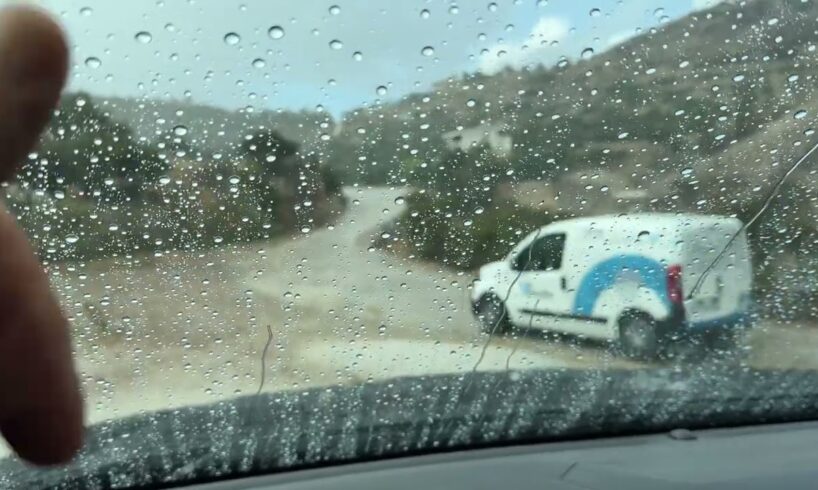 They Abandoned a Dog in Heavy Rain - Takis Shelter