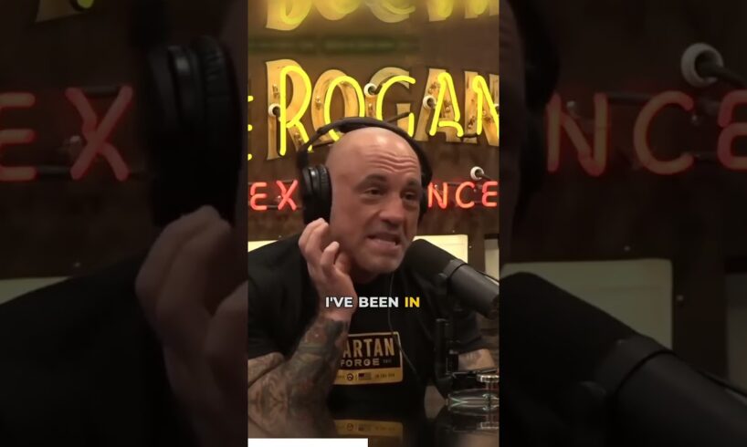 "They're waiting for your kid to go get his ball..." 😱 #joerogan #mountainlion #wildlife