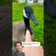 This man rescued a goose in distress from the river and then... #animalshorts#animalrescue