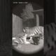 Tiger Cat and Dog Play #funny #funnyanimal #animals