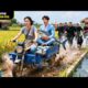 Tổng Tài Bị Mẹ Sai Vệ Sĩ Truy Đuổi Bắt Về Cưới Vợ, Nào Ngờ Lỡ Ngã Vào Xe Của Chị Đẹp Bán Cá