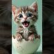 Two cute animals #cartoon #story #ai #dog #cat #duck #tiger #animals #kitty #pets