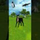 Video animals🐧🐊🐕‍🦺🐕#shorts #animal #videos #animalshorts #animalrescue