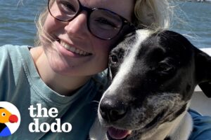 Woman On Roadtrip Rescues A Dog From A Shell Gas Station | The Dodo