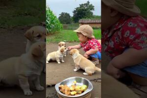 cute boy play  with little puppy