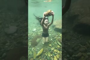funny epic fails #funny #fails