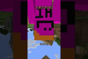 i found the rarest death in minecraft.
