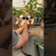 #petlovers #shorts #cute #puppies #trending #dogbreed #shorts