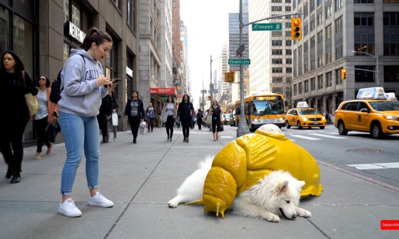 rescue animal : Brave Puppy Leads Woman to Mother's Incredible Rescue