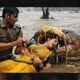 rescue animal:  Forest Department Rescues Woman From Giant Catfish Jaws