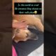 street dog rescue | #shorts #ytshorts #hungergamestiktok #trending #streetdog #dog #streetdogpluto
