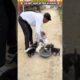 इस छोटे लड़के को दिल से सलाम #animal #animalrescue #animallover #rescue #dog