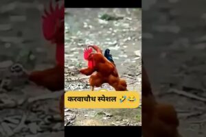 करवाचौथ स्पेशल #amanyt #prkwale  #funny #shilpisaroja #thetharpuns #comedy