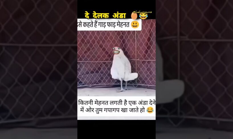 दे दिया अंडा 🥚😂 #heharpuns #heharpuns #funny #comedy #egg