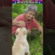 बूढ़ी दादी के लिए चिंटू का प्यार #animal #animalrescue #animallover #rescue #dog