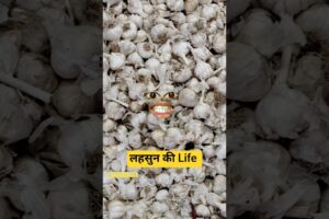 लहसुन की Life 😂 Thethar puns| #shorts @thethar_puns #comedyshort #viralshorts