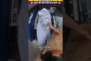 संकट की घड़ी में हीरो बना कुत्ता #animal #animalrescue #animallover #rescue #dog