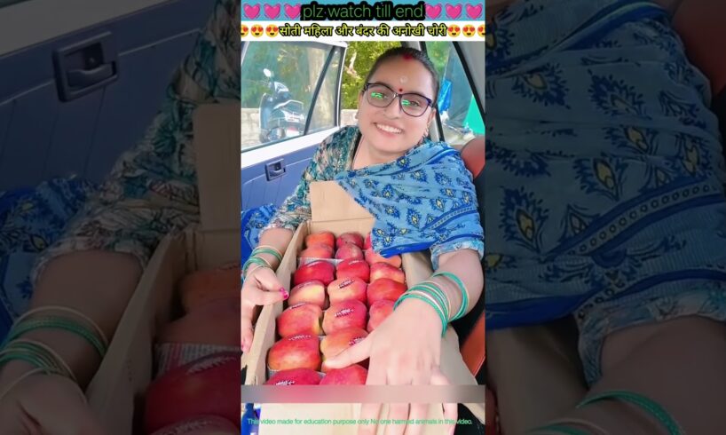 सोती महिला और बंदर की अनोखी चोरी 🙏🏻💓 #animal #animals #animallovers #animalrescue #monkey