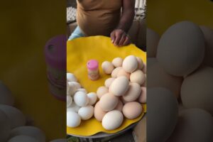 কাকার ডাবল কুসুম ডিম