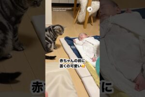 赤ちゃんにフタを投げてほしくて…｜PECO
