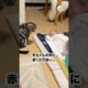 赤ちゃんにフタを投げてほしくて…｜PECO