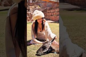 10 Animals Rescued by Heroes 🥹