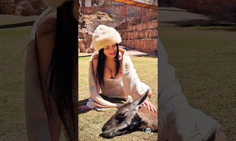 10 Animals Rescued by Heroes 🥹