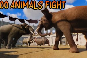 100 Animals Fight in Colosseum Planet Zoo included Lion, Bear, Buffalo, Elephant, Giraffe, & Tiger