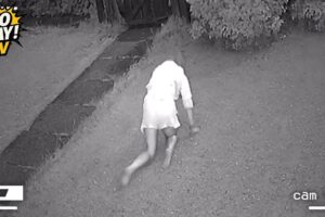 50 Real-Life Shocks Caught on CCTV – Incredible Moments You Have to See! #62