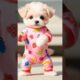 💞💃Cute Puppies Dancing Like a Pro 😍 | Funniest Puppies Dance Video Ever #shorts #trending #viral #ai