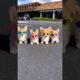 Cute Puppies Dancing