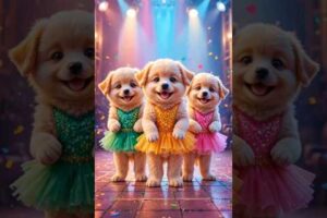 Cute puppies Crazy Dance | #funnyvideo #cutepuppy #viralshorts #dogshorts