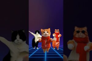 This Puppy Can’t Stop Dancing 🐶😂 Cutest Puppies Ever! #shorts #dog #tailyfy #cat #puppy #puppydance