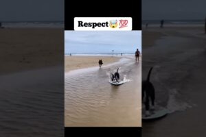 People are Awesome🇺🇸😍 #aura #skills #trickshot #talentotiktok #peopleareawesome