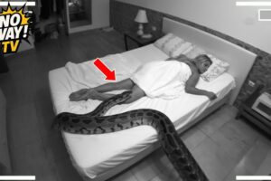 50 Real-Life Shocks Caught on CCTV – Incredible Moments You Have to See! #70