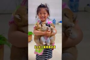 The love for these cute puppies grows day by day #dog #pet #cutedog #puppy #puppylove #cuteanimal