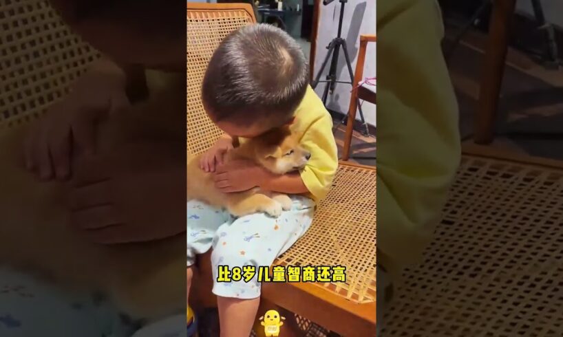 The love for these cute puppies grows day by day #dog #pet #cutedog #puppy #puppylove #cuteanimal