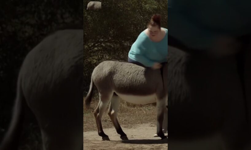 Best Fails of the Week 😂 Try Not to Laugh!#viral #viralvideo #viralshorts2024 #trynottolough