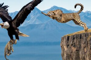 45 Times Animals Messed With Wrong Opponents !