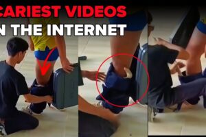 A Cobra Crawled Into His Pants During Class