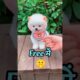 Adopt Free Teacup Dog | Pomeranian Dog Shorts Video #shorts #viral #trending #youtube #pets #dogs