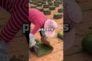 After I rescued our family dog from abuse, my relatives handed him over to a shelter, saying...