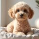🇺🇸 America’s Cutest Puppies Compilation 🐶 #dogs #cute #funny